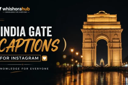 india gate captions for instagram